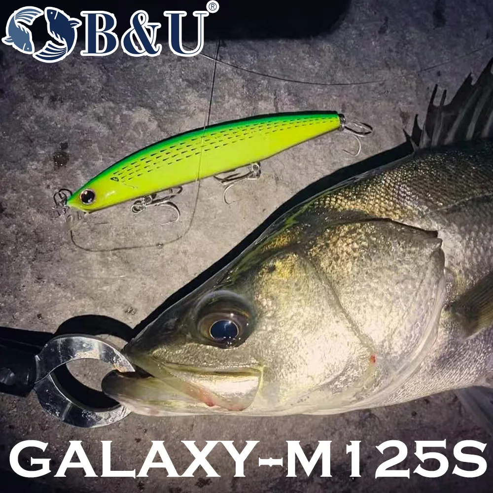 B&U 125mm Sinking Minnow Sea F - Fishing Lure Crankbait review and price
